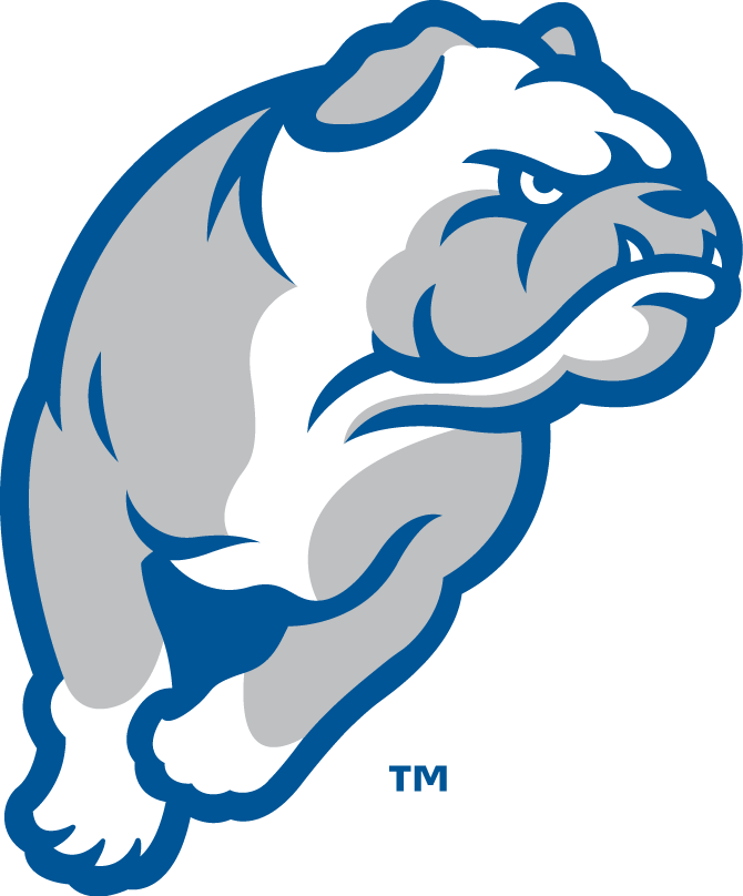 Drake Bulldogs 2015-Pres Alternate Logo v4 DIY iron on transfer (heat transfer)